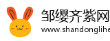 邹缨齐紫网
